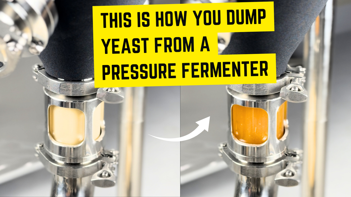 How to Dump Yeast from a Pressure Fermenter — Fast, Clean, Controlled
