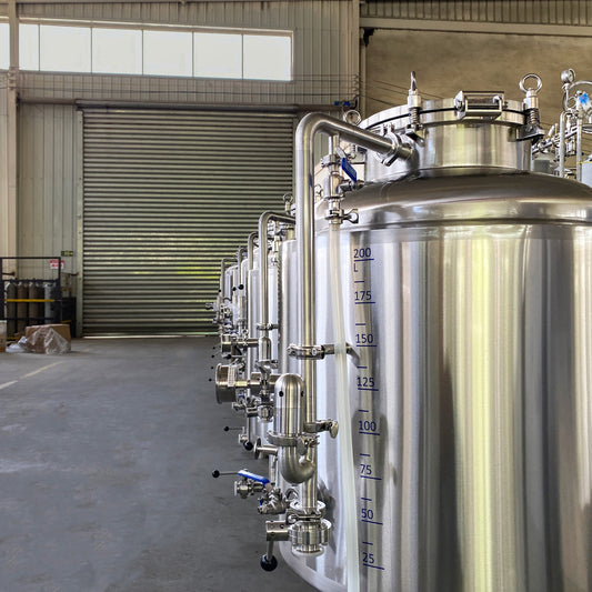 BrewTaurus PRO bright beer tank — reference photo of the PRO BBT series (BBT-600: 600/660 L)