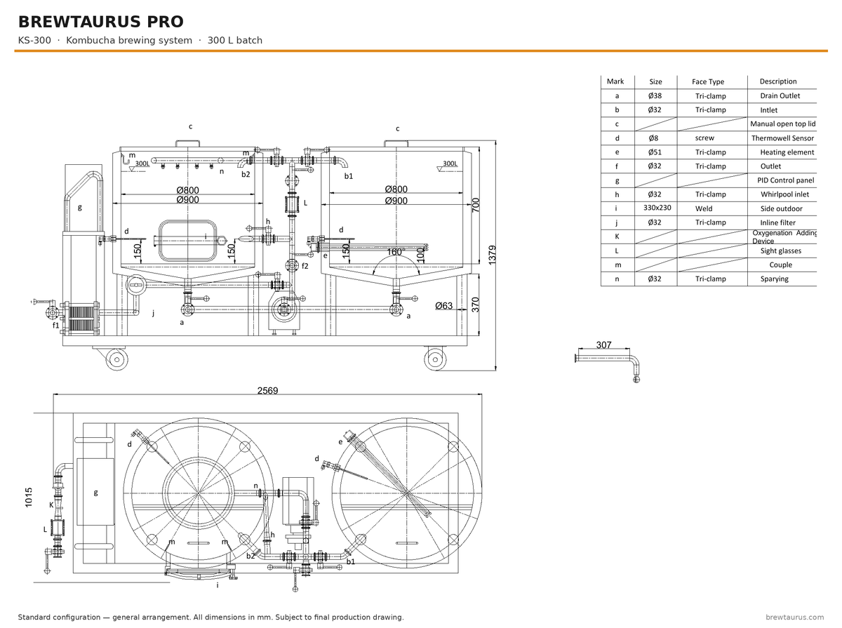 BrewTaurus PRO KS-300 kombucha brewing system — general arrangement drawing, 300 L batch