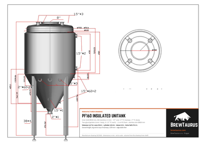 BrewTaurus PF160 Insulated Unitank technical drawing: inner Ø550 mm, ~57° cone, 8" TC top port, 2" TC dump, 2" TC heating-element port, insulated skin Ø600 mm, overall height 1339 mm